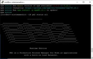 install pm2